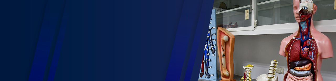 LABORATORIO DE SIMULACIÓN DE ANATOMÍA Y FISIOLOGÍA