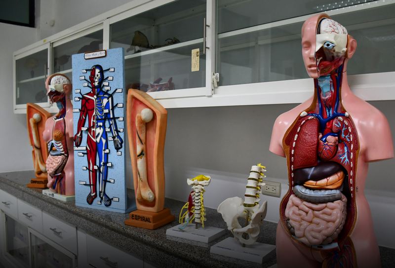 Foto del laboratorio