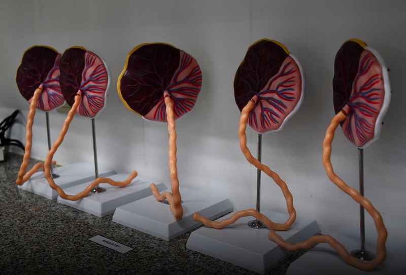 Foto del laboratorio