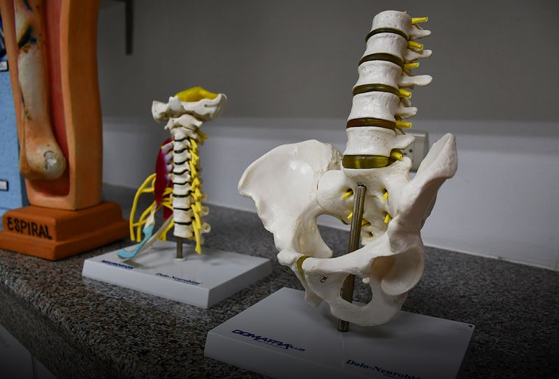 LABORATORIO DE SIMULACIÓN DE ANATOMÍA Y FISIOLOGÍA