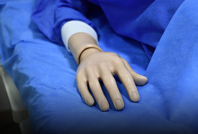 LABORATORIO DE PROCEDIMIENTOS BÁSICOS 2