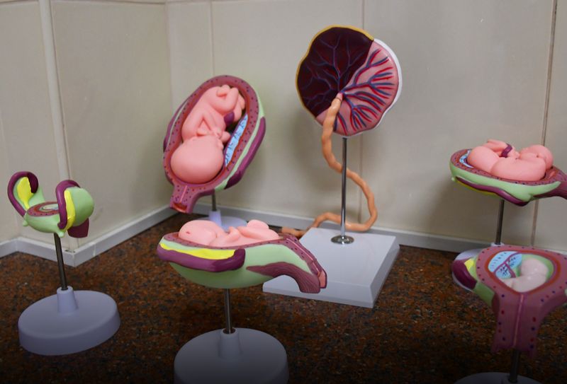 LABORATORIO DE BIOQUÍMICA / HISTOLOGÍA / ANATOMÍA PATOLOGÍCA